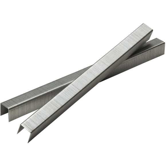 Senco AccuSet 20-Gauge Galvanized Fine Wire Finish Staple, 1/2 In. x 3/8 In. (10,000 Ct.)