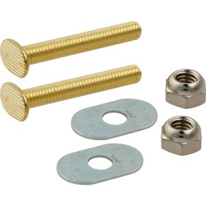 Plumb Shop Snap Off Toilet Bolts (5/16 x 2-1/4 Brass)