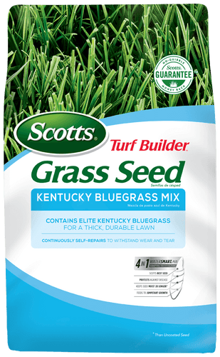 Scotts® Turf Builder® Grass Seed Kentucky Bluegrass Mix