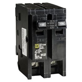 Homeline 100-Amp Double-Pole Circuit Breaker