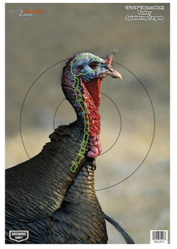 Birchwood Casey 35403 Pregame  Turkey Hanging Paper Target 12 x 18 8 Per Pack