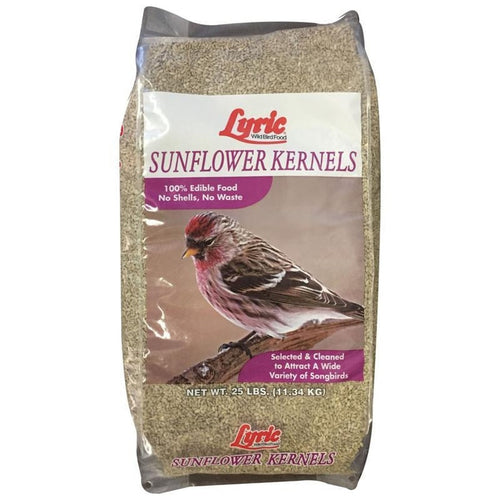 LYRIC SUNFLOWER KERNELS