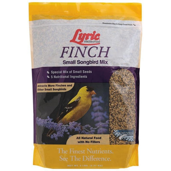 LYRIC FINCH SMALL SONGBIRD WILD BIRD MIX